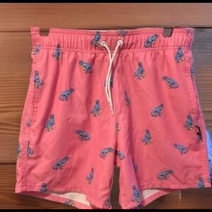Hollister Pink Dinosaur Print Swim Trunks